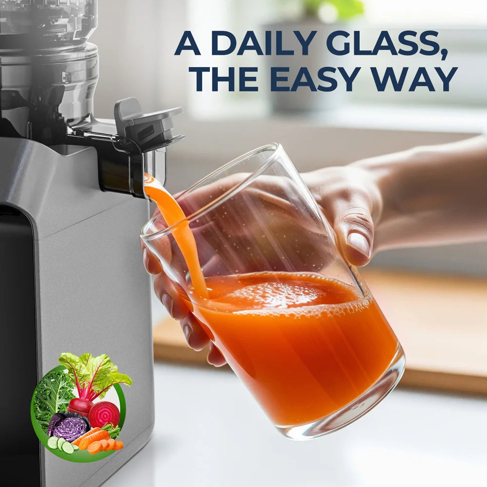 ROUNY Cold Press Extractor with Filter-Free, Easy Clean Electric Fruit Slow Juicer Machine with Large Feed Caliber, Black