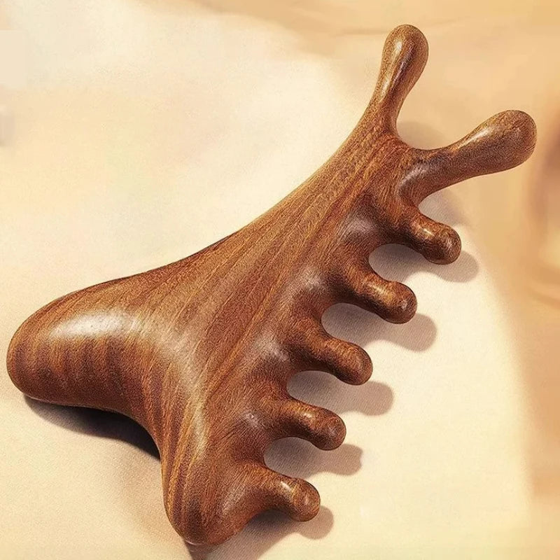 Head Body Massager Neck Face Health Care Massage Tool Meridian Scalp Four-in-one Sandalwood Comb Massage Acupoint Nose Scraper