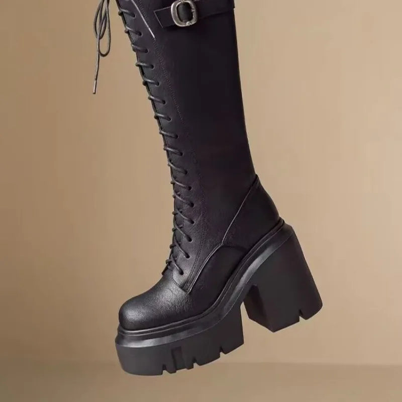 Super High Heel Knight Boots Women Show Skinny Thigh Boots Autumn Winter High Tall Women Platform