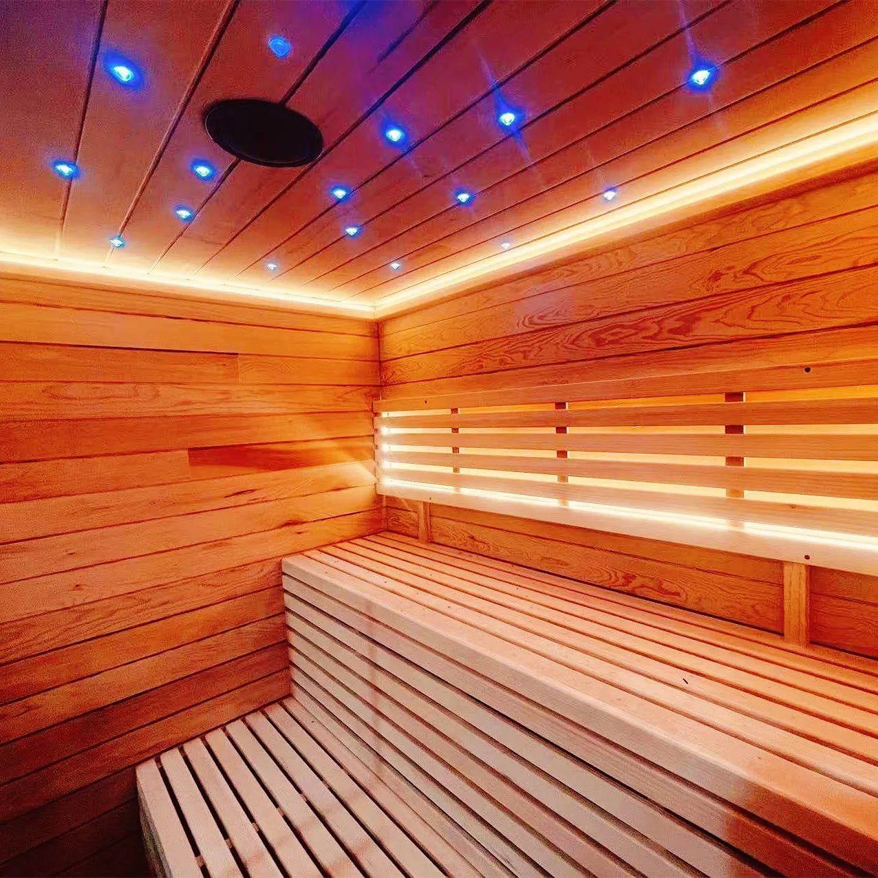Indoor Sauna Personal Home Use Far Infrared Solid Wood 2 Person Dry Steam Sauna Room Modern Electric Sauna