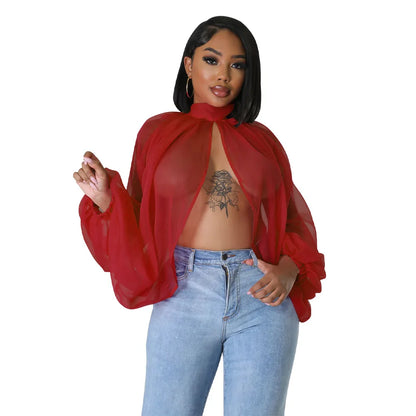 Women See Through Sheer Chiffon Blouse Sexy Front Back Open High Neck Self Tie Shawl Casual Shirts Y2K Night Club Party Tops