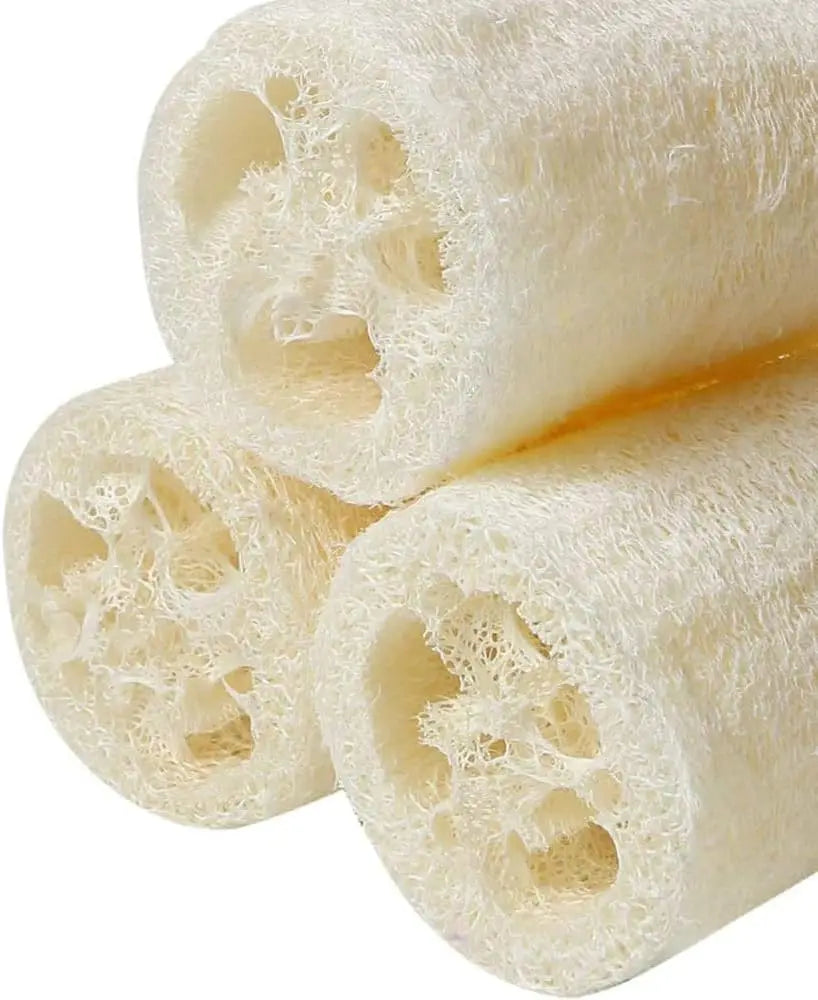 6 Pieces Loofah Sponge Natural Spa Scrubber Body Scrubber Remove Dead Skin and Kitchen for Home (About 4 inch)