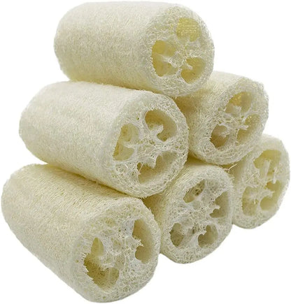 6 Pieces Loofah Sponge Natural Spa Scrubber Body Scrubber Remove Dead Skin and Kitchen for Home (About 4 inch)